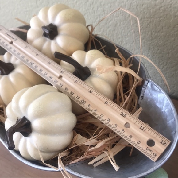 Fall Farmhouse Harvest large metal decorative pitcher with Cinderella pumpkin - Picture 11 of 16